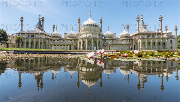 Water lilies in a pond in front of Royal Pavilion Palace