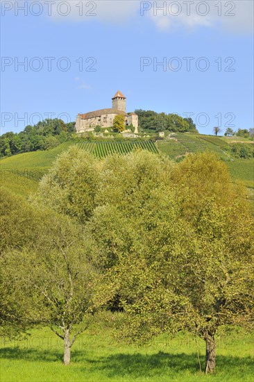 Castle Lichtenberg