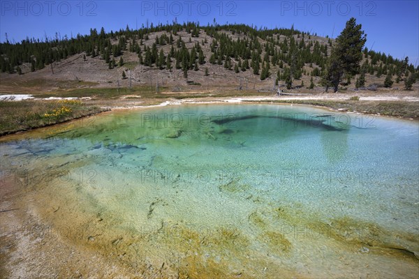 Hot spring