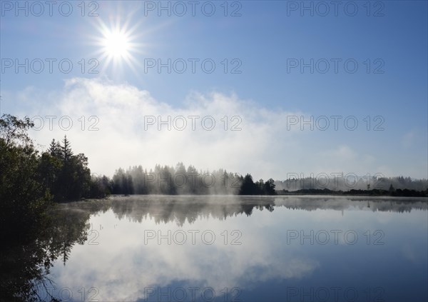 Morgennebel