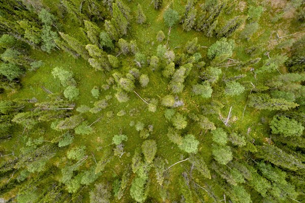 Drone shot