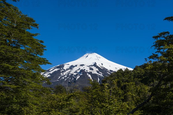 Snowcapped volcano Villarrica