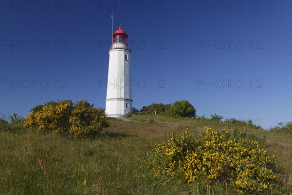 Lighthouse Dornbush on the Schluckwieksberg