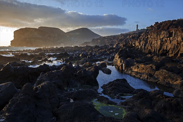 Sea lava rock