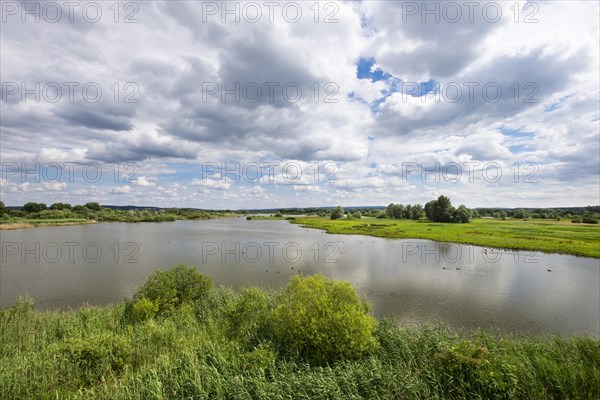 Vogelfreistatte Altmuhlsee Nature Reserve
