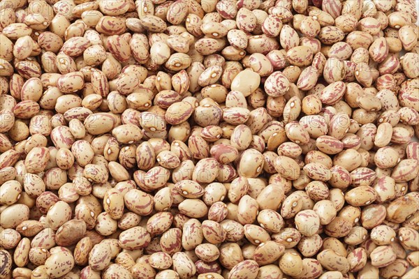 Pinto beans