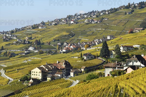 Vineyards in autumn with view of winemaking villages Epesses and Riex