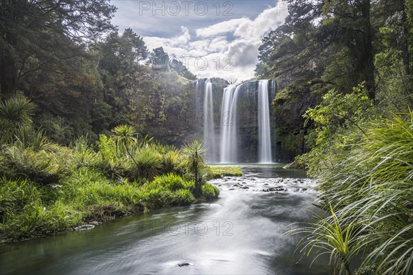 Whangarei Waterfall