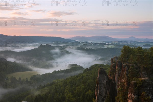 Morning fog in the Wehlgrund valley