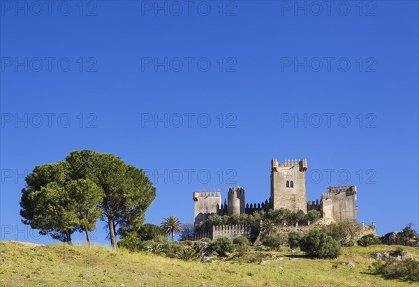 Castle of Almodovar del Rio