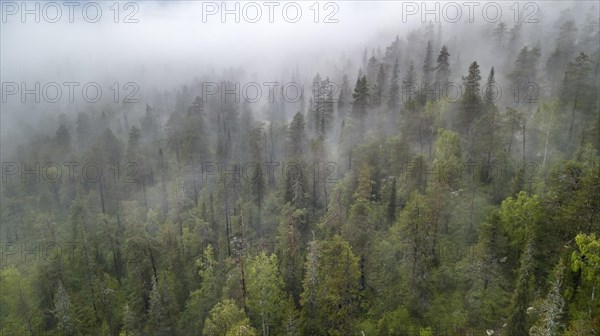 Drone shot