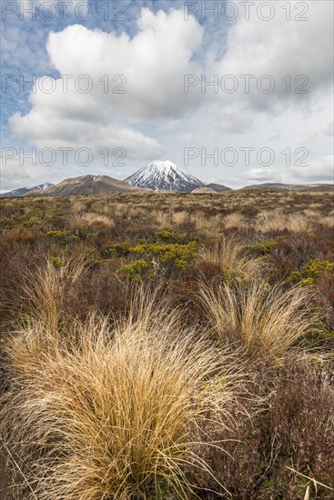 Volcano Mount Tongariro and Mount Ngauruhoe
