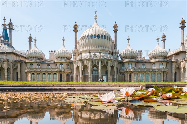 Water lilies in a pond in front of Royal Pavilion Palace
