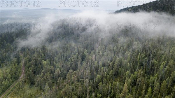 Drone shot