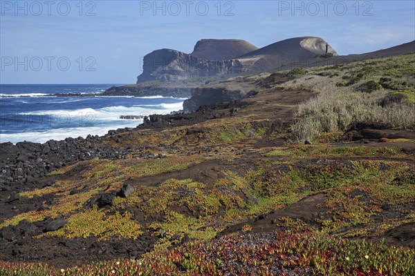 Volcanic landscape