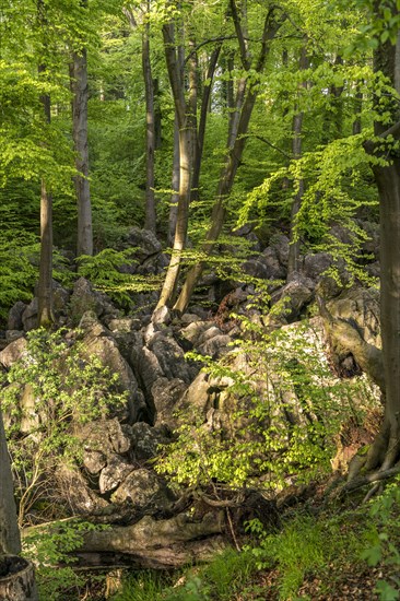 Felsenmeer