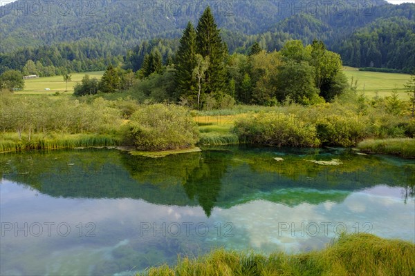 Sava Dolinka spring