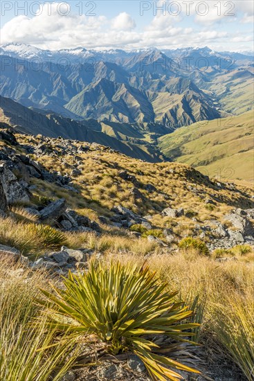 View of mountains