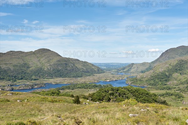 Lower Lake
