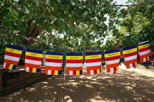 International Buddhist flags