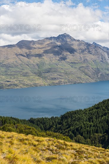 View of Lake Wakatipu