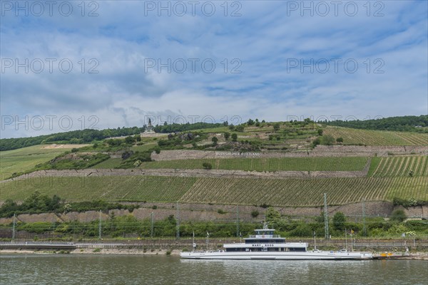 Vineyards with Niederwald Monument