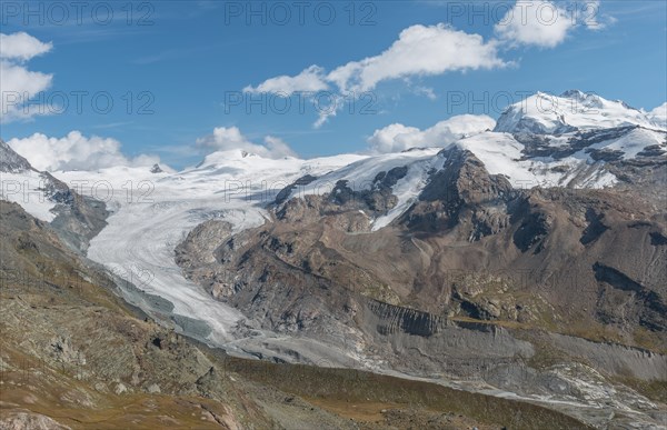 Glacier tongue