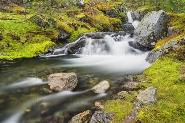 Small stream near Skei