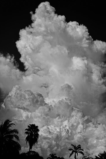 Cumulonimbus clouds in the rainy season