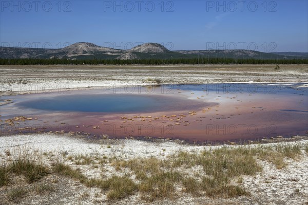 Opal Pool