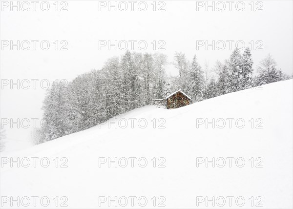 Mountain hut in front of winter forest