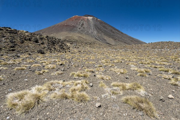 Mount Ngauruhoe