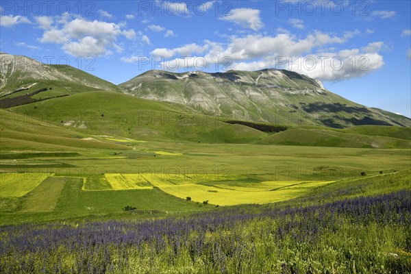 Monte Vettore