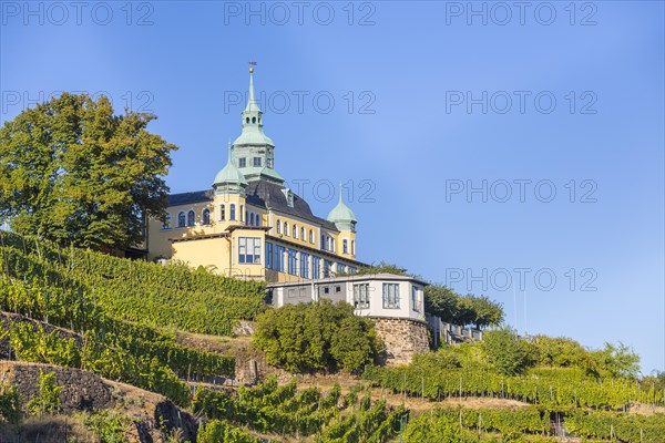 Spitzhaus in vineyard