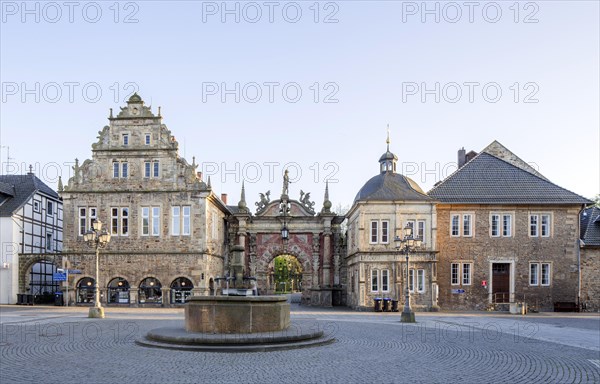 Buckeburg Castle