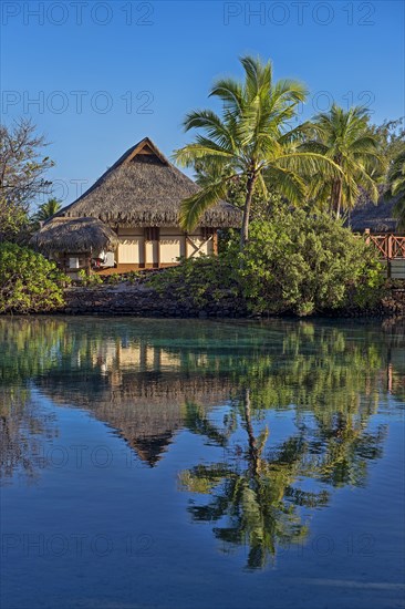 Bungalow with palm trees by the water