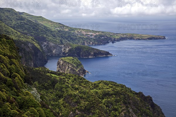 View of the northeast coast