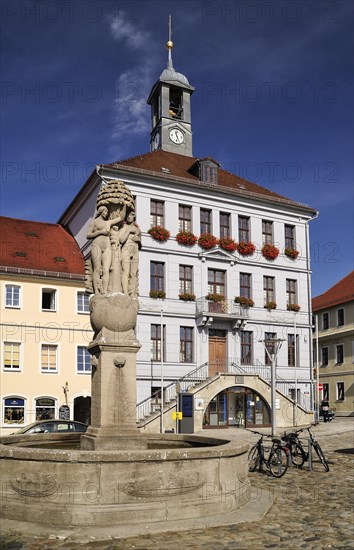 Town hall on the market place Altmarkt