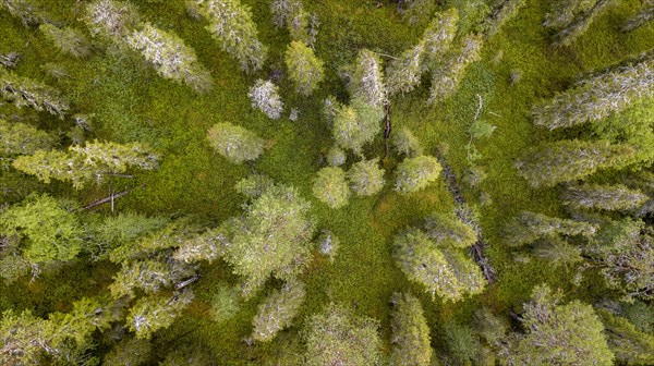 Drone shot