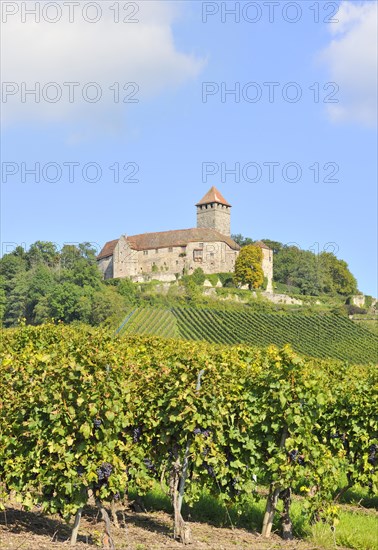 Castle Lichtenberg