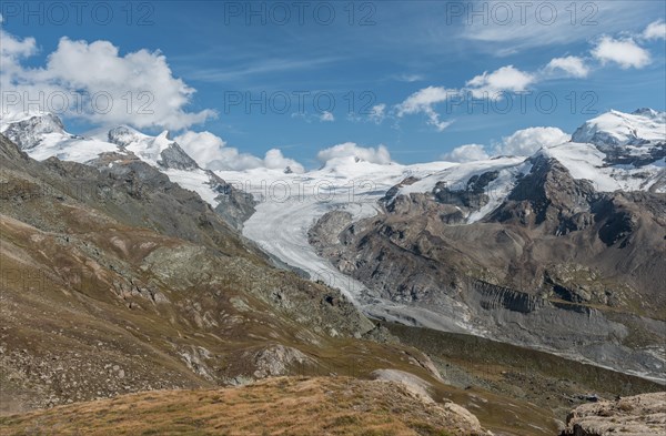 Glacier tongue