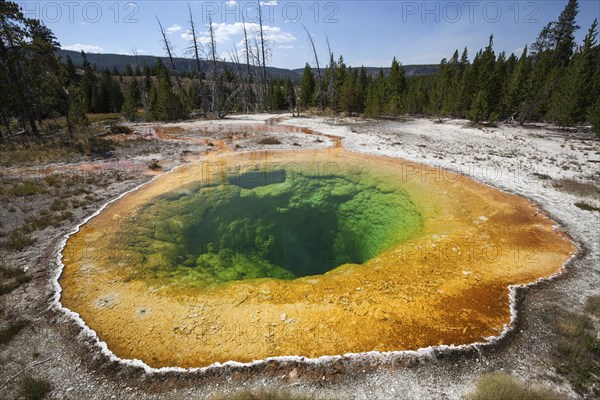 Morning Glory Pool