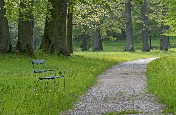 Bench in the park of castle Fasanerie