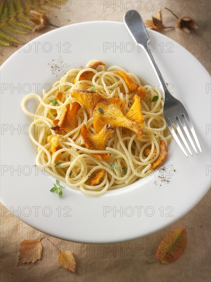 Wild organic chanterelle or girolle Mushrooms