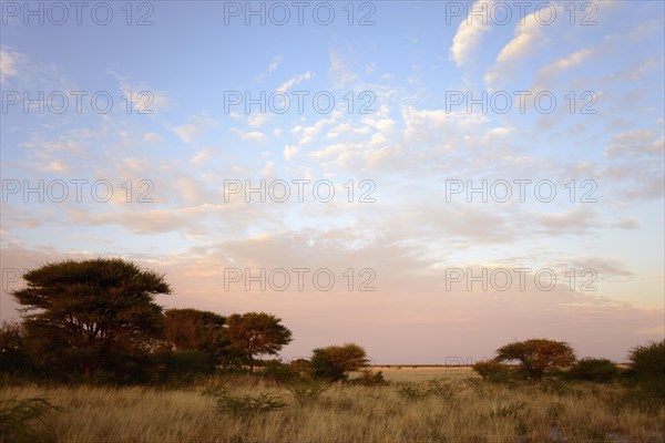 Morning at a steppe in Deception Valley