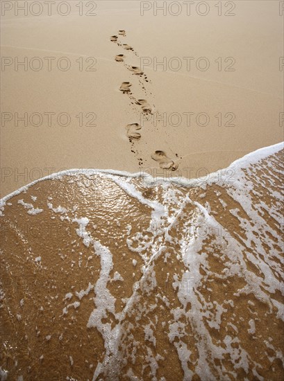 Surf