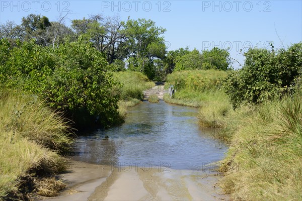 Ford with water