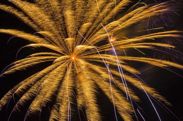 Orange fireworks in night sky