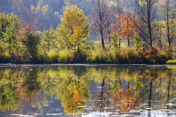 Igelsbachsee in autumn