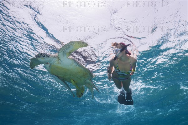 Woman with mask and fins snorkling with Green Sea Turtle